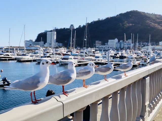 熱海サンビーチ