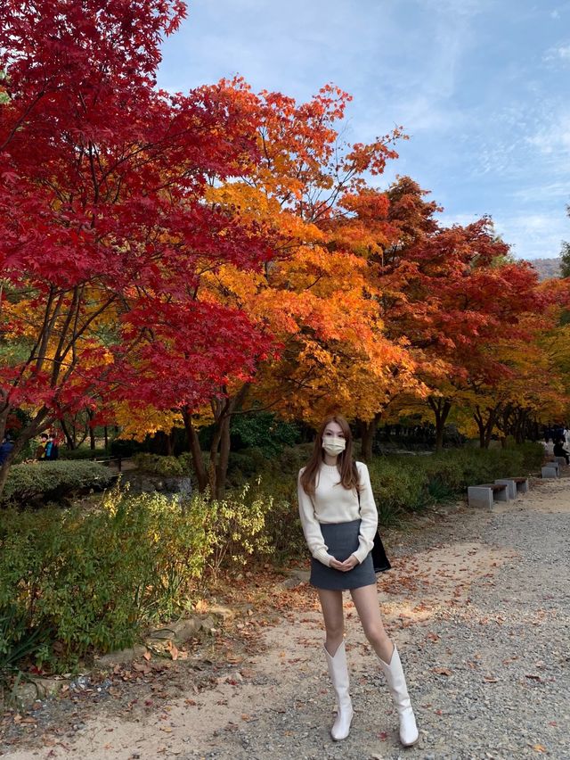 [상소동 산림욕장] 한국의 앙코르와트🗿