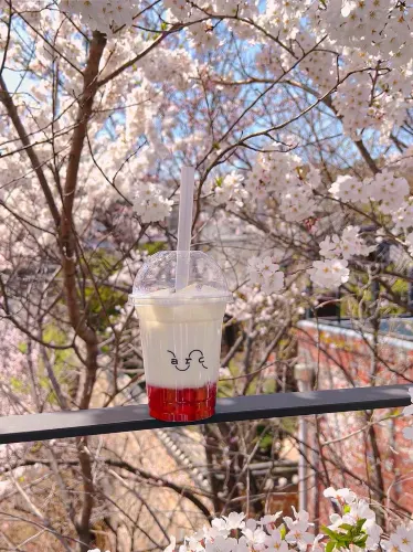 실시간) 서울 벚꽃뷰 카페 주말에 달려가야합니다!!🏃‍♂️🏃‍♀️