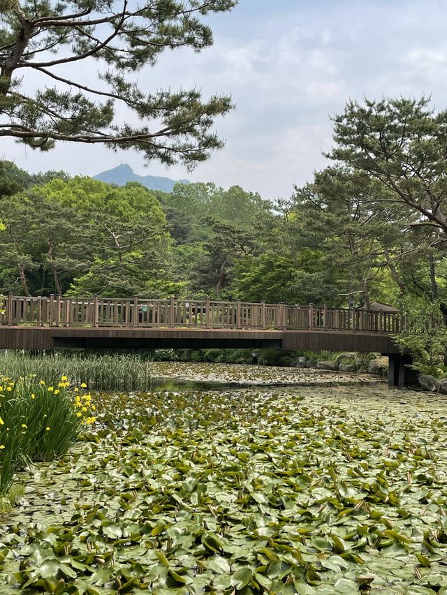 동화 속 풍경을 만날 수 있는 서울대공원 숨은 포토존