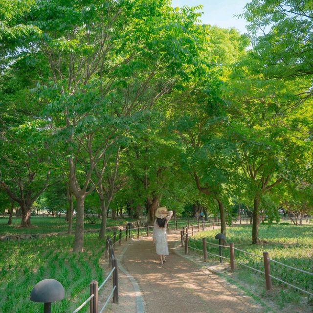 🌿경주가 가진 비밀의숲 [경주, 계림]