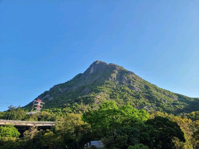 九龍之最~飛鵝山⛰️
