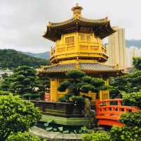 ［🪷南蓮園池🪷］