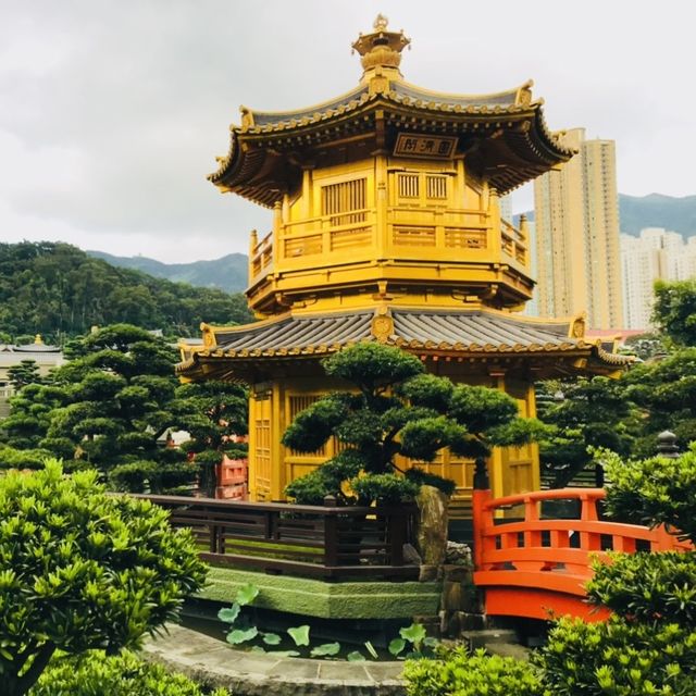 ［🪷南蓮園池🪷］