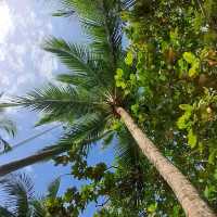 KRABI : HIDDEN PARADISE