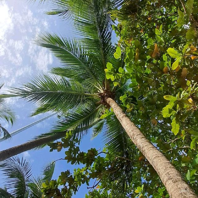 KRABI : HIDDEN PARADISE