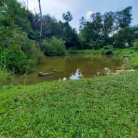 An EcoPark in Tampines 