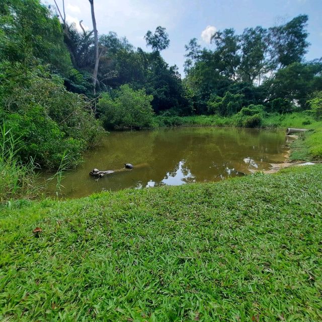 An EcoPark in Tampines 