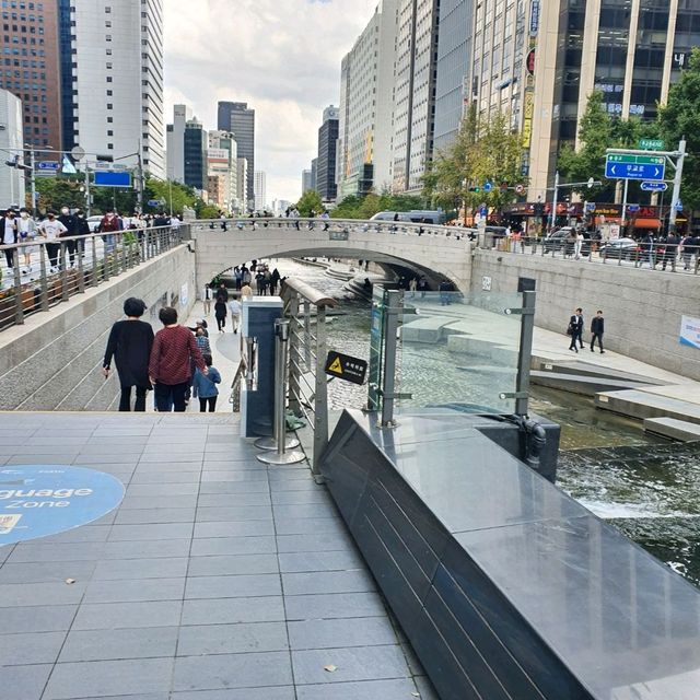 도심속의 자연~ 청계광장 피크닉♡