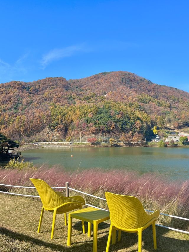 🌿인생샷 보장카페, 유리원🌿