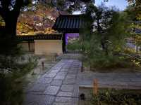 博多旧市街ライトアップウォーク2022「千年煌夜」『承天寺（方丈・開山堂）』