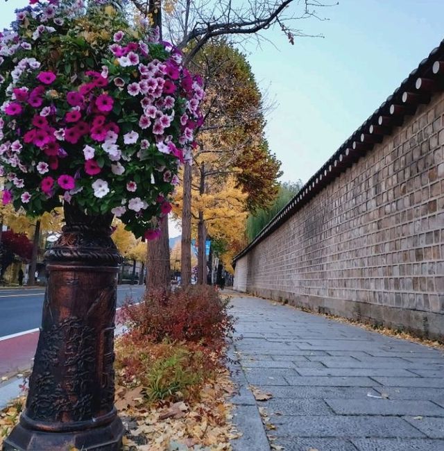 Autumn by the stone walls of Gyeongbukgung