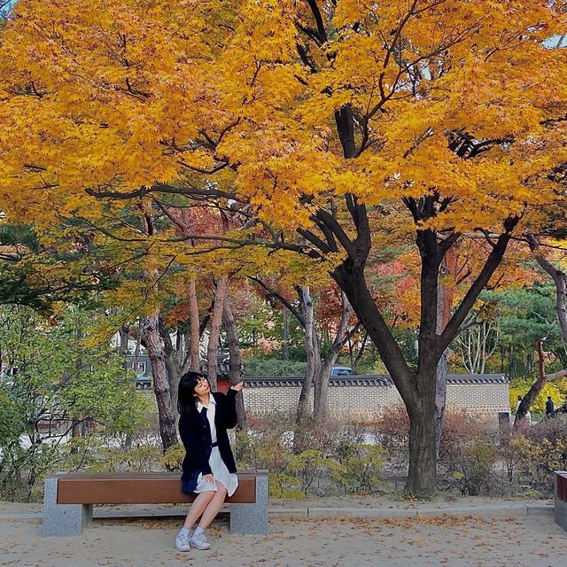 덕수궁에서 보는 가을 🍁