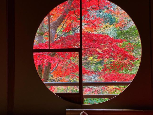 京都・嵐山 『祐斎亭』の紅葉