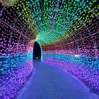 千葉県！ドイツ村のイルミネーションその③