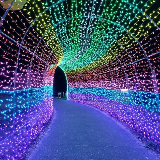 千葉県！ドイツ村のイルミネーションその③