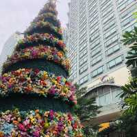 Season Feels at Eastwood City