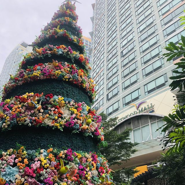 Season Feels at Eastwood City