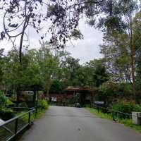 Zoo Taiping, a house of amazing animals.