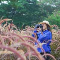 ที่พักสวยริมแม่น้ำกก Le Méridien Chiang Rai Resort