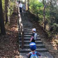 親子假期行山之旅😊🌈青衣自然教育徑