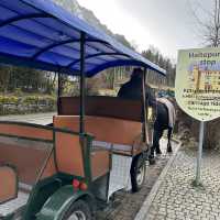 Horse carriage to Neuschwanstein Castle 