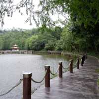 深圳至抵玩植物園