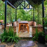 Warista cafe and garden 