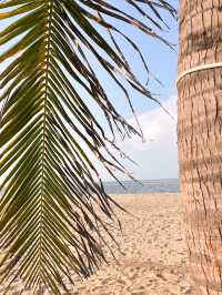 Haikou City beach with tropical vibes 🏝