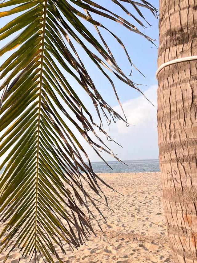 Haikou City beach with tropical vibes 🏝