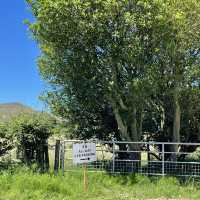 曼徹斯特出發peak district Mam Tor行山 簡易路線小朋友都行到