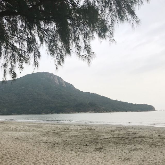 Hong Kong  Iconic travel destination