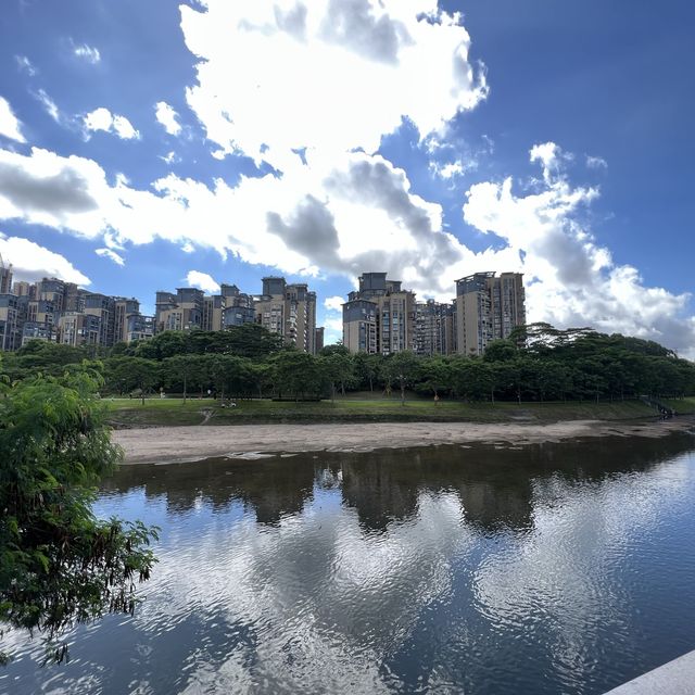 打卡深圳觀瀾濕地公園