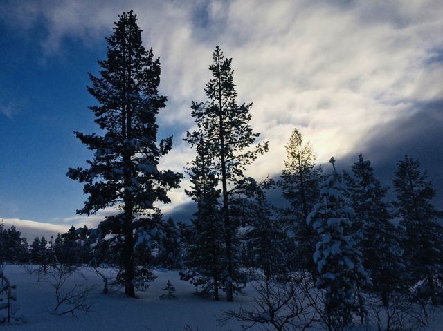 Inari, Northern Lapland, Finland 🇫🇮❄️☃️