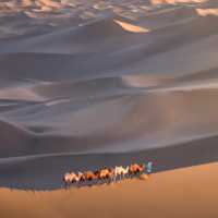 Xinjiang Taklamakan Desert