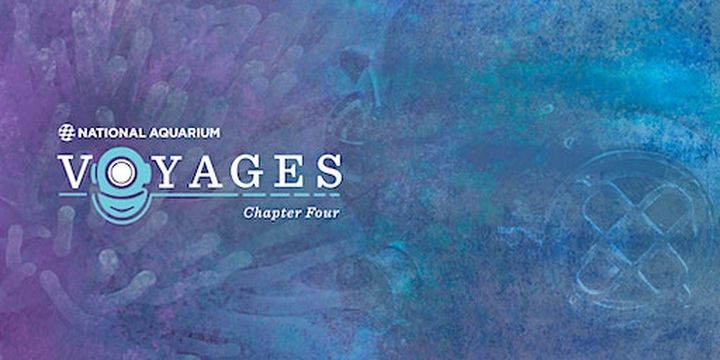 Voyages Chapter: 4 | National Aquarium