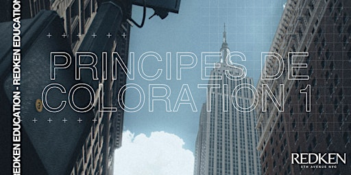 REDKEN CANADA - PRINCIPE DE LA COLORATION 1 | SalonCentric – Concept JP Laval