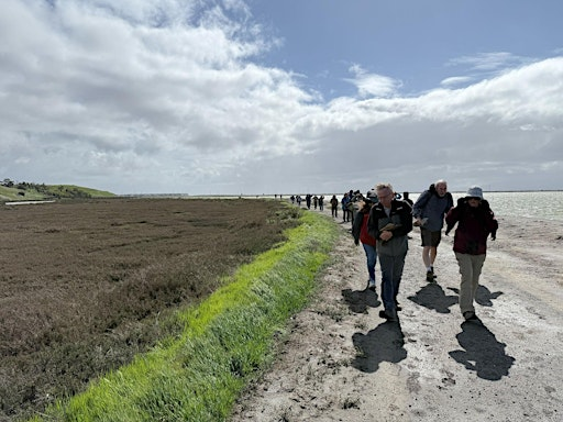 Roving the Refuge | Don Edwards San Francisco Bay National Wildlife Refuge
