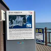 부산 청사포 다릿돌 전망대