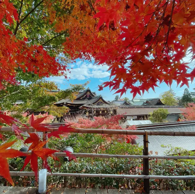 【紅葉巡り】京都ー北野天満宮