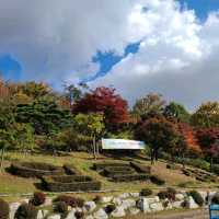 [Voyage 59] 🍁아름다운 단풍으로 물든 계양산⛰