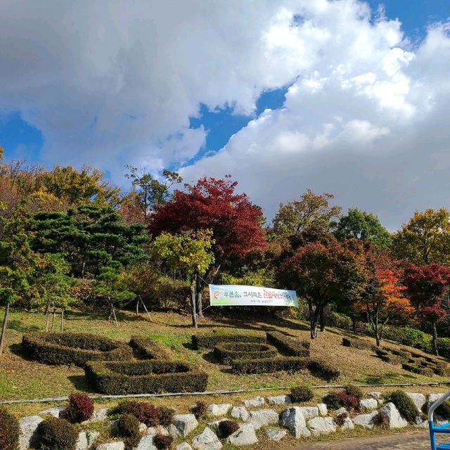 [Voyage 59] 🍁아름다운 단풍으로 물든 계양산⛰