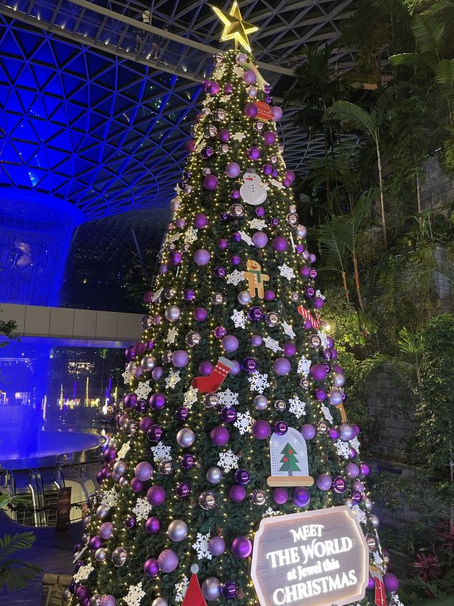 Christmas at Shiseido Forest Valley!