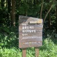 울릉도, 독도의 국가 지질 공원 💚