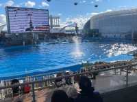 名古屋港水族館といえば🐬【イルカショー】＆名古屋港のレストラン
