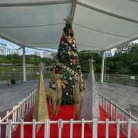 Pang Sua Pond - Christmas Light (Day)