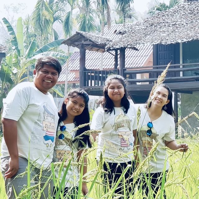 ที่พักวิวทุ่งนา
