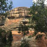 sigiriya Rock Lion roxxx me