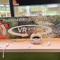 【沖縄･本島】世界自然遺産やんばるの森を知る道の駅