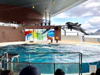 【山口】海響館で関門海峡のお魚見学⑦